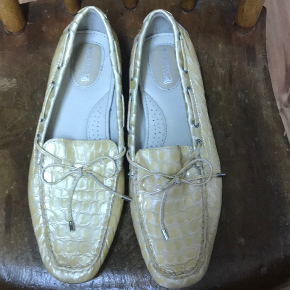 Sperry Flats